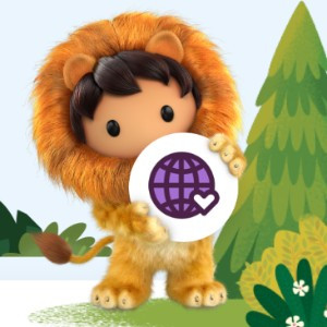 Salesforce for NeonForce